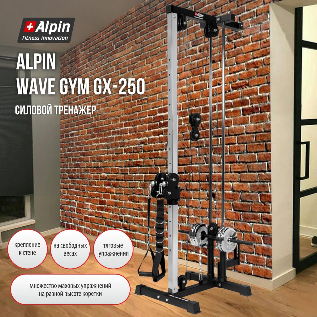 Alpin Wave Gym GX 250(1)